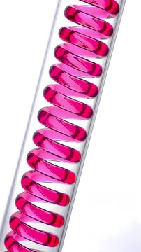 Pink Liquid Flowing Through Spiral Tube. A transparent coil fills and drains with vivid pink fluid on a white background.