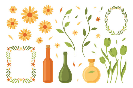 Yellow Flowers, Leaves, Bottles and Perfume on White Background