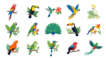 Obraz premium Vibrant Flat Vector Tropical Birds Collection: Parrot, Macaw, Toucan, Hummingbird for Nature Wildlife Illustration