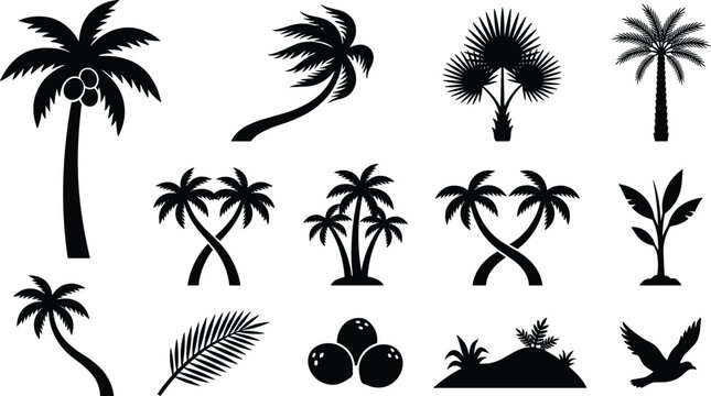 Palm tree silhouette vector set with coconuts tropical leaves and island elements for summer beach vacation and resort graphic design