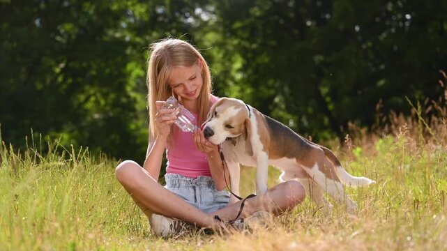 A smiling young girl sits cross-legged in a sunlit meadow, gently offering water to her attentive beagle on a leash, capturing a warm moment of pet care, trust, and outdoor summer fun.