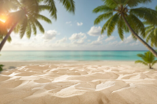 Sandy beach with palm tree and copy space &ndash; tropical summer product background