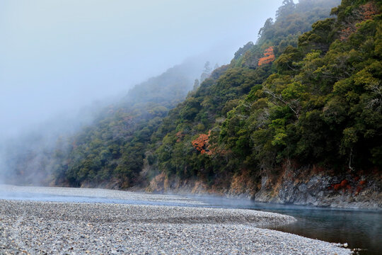 八咫烏 Images – Browse 466 Stock Photos, Vectors, and Video