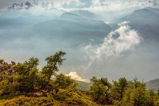 Mountain landscape with pine trees overlooking a misty valley and Garda lake, illustrating tourism and adventure in Monte Baldo Natural Park, Brentonico, Trentino, Veneto, Italy.