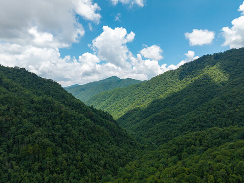 Lush green mountains stretch under white clouds in Shennongjia National Park