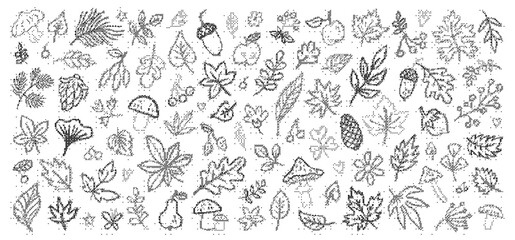Collection of hand drawn autumn leaves, acorns, and mushrooms, doodle sketch nature elements © Rehena