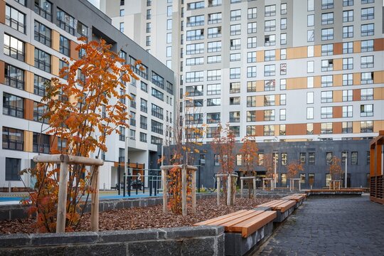 Autumn courtyard scene with young trees, wooden benches and paved pathway