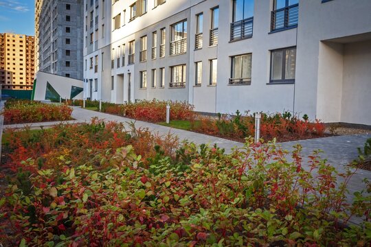 Autumn colored shrubs along courtyard pathway near modern apartment buildings