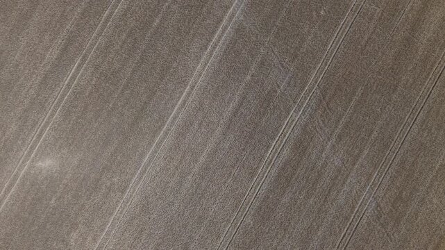 An aerial perspective reveals distinct parallel lines across an agricultural field, showcasing textured earth and the ordered patterns of cultivation.