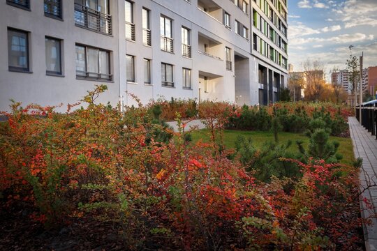 Lawn and autumn colored shrubs in courtyard near apartment buildings