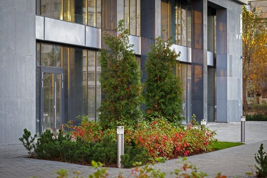 Autumn colored shrubs and pine planting near glass apartment building entrance