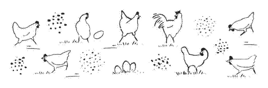 Set of handdrawn chickens and eggs, doodle style farm birds, poultry collection, vector illustration