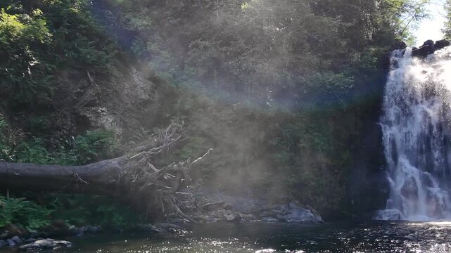 4K footage of powerful Youngs River Falls near Astoria, Oregon, USA with sunlight illuminating water spray and mist on a beautiful summer day in the Pacific Northwest