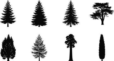 Set of black silhouette icons featuring various coniferous and evergreen forest tree species for design © MstAshida
