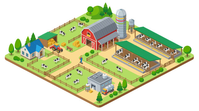 Cow Farm Isometric Digital Illustration With Dairy Barn and Cattle