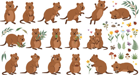 Fototapeta premium Cute Quokka Cartoon Character Vector Set with Australian Wildlife Elements, Flowers, and Leaves for Childrens Books, Stickers, and Friendly Animal Designs