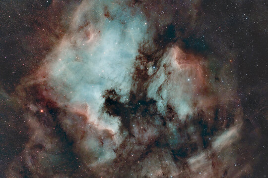 Bright North America and Pelican emission nebulae in outer space