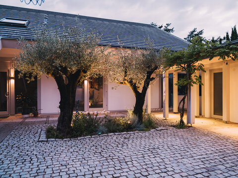 Modern villa exterior with illuminated olive trees at blue hour