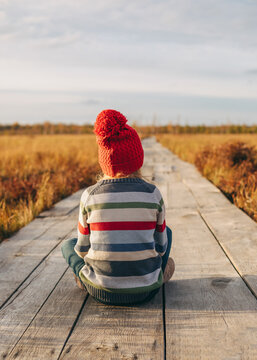 A girl enjoys autumn nature sitting on a wooden boardwalk