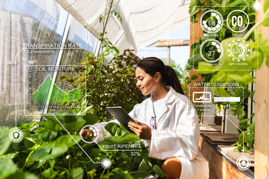Woman scientist analyzes agricultural data on tablet in greenhouse