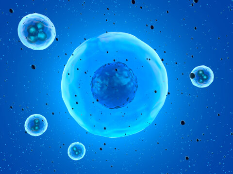 Three dimensional render of blue stem cells