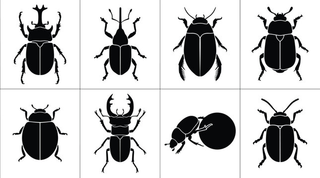 Collection of different beetle black silhouettes including stag beetle rhinoceros beetle weevil ladybug and dung beetle on white background