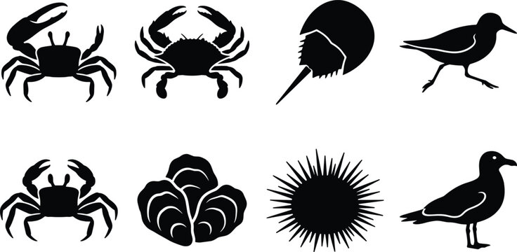 Coastal marine life black vector icons collection featuring sea creatures silhouettes like crabs horseshoe crab sandpiper oyster and sea urchin