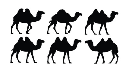 Collection of diverse camel silhouettes illustrating desert wildlife in various walking poses, featuring elegant black vector designs ideal for travel, safari, nature, Middle Eastern themes, and wildl © Abdul Malek