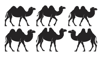 Collection of diverse camel silhouettes illustrating desert wildlife in various walking poses, featuring elegant black vector designs ideal for travel, safari, nature, Middle Eastern themes, and wildl © Abdul Malek