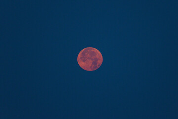 Strawberry Moon with Deep Twilight Glow © Eladiosan