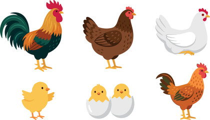 Flat Cartoon Poultry Farm Bird Vector Illustration Set Featuring Colorful Rooster, Domestic Hens, Cute Yellow Baby Chicks, and Newborns Hatching From Eggs © Najir