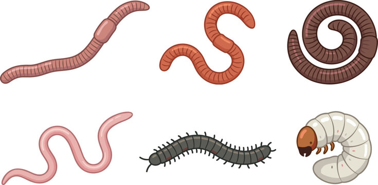 Cartoon Garden Soil Creepy Crawlies Vector Set Featuring Various Earthworms, Wiggly Nematodes, Crawling Millipedes, and Crunchy White Beetle Grubs or Insect Larvae