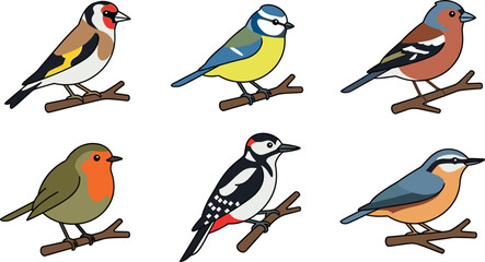Cute Cartoon Garden Birds Vector Illustration Set Featuring European Robin Goldfinch Blue Tit Chaffinch Great Spotted Woodpecker And Eurasian Nuthatch Perching On Branches © Najir
