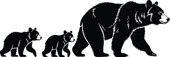 Black Bear Family Silhouette Vector Illustration with Adult Bear and Cubs Walking Wildlife Collection for Nature Design Projects © Mr Ashik02