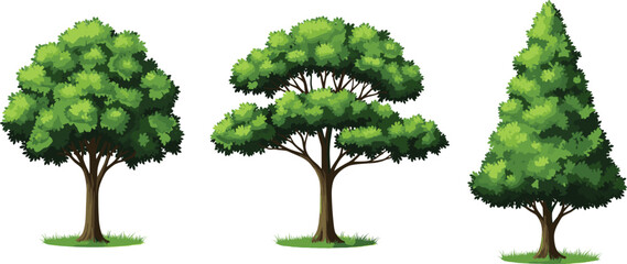 Tree silhouette set, rounded tree, umbrella tree, pine tree, forest elements, green foliage, landscape design, nature icon, flat vector © MstTanjila