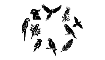 Fototapeta premium Parrots and Birds in Various Poses and Styles Arranged in a Circular Pattern Featuring Silhouettes, Black, Feathers with Wings