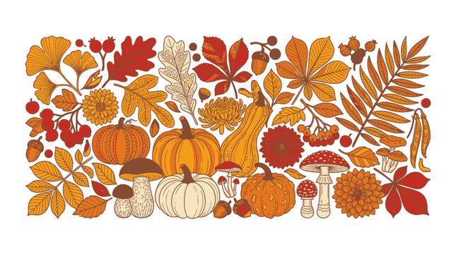 Ilustraci&oacute;n decorativa de oto&ntilde;o con una variedad de calabazas, hojas secas, setas y bellotas en colores c&aacute;lidos sobre un fondo blanco, ideal para dise&ntilde;os estacionales y festivos.