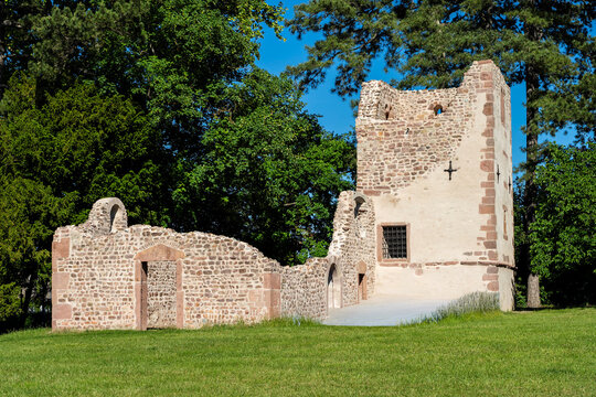 Ruine der St. Johannes-Pfarrkirche in Obernai im Elsass