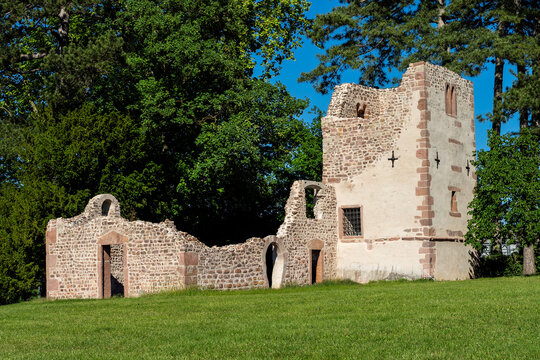 Ruine der St. Johannes-Pfarrkirche in Obernai im Elsass