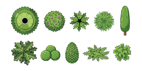 Set of top view tree icons for architectural landscape design and site planning ©  Designer