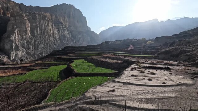 Panoramic view over lush green terraced fields in front of Tetang Village and canyon cliffs. Upper Mustang, Nepal.
