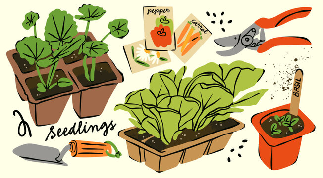 Spring Garden set. Gardening tools, sprouts, green baby plants, seedlings, seeds, containers, pots, soil. Equipment for replanting plants. Hand drawn Vector illustration. Isolated design elements
