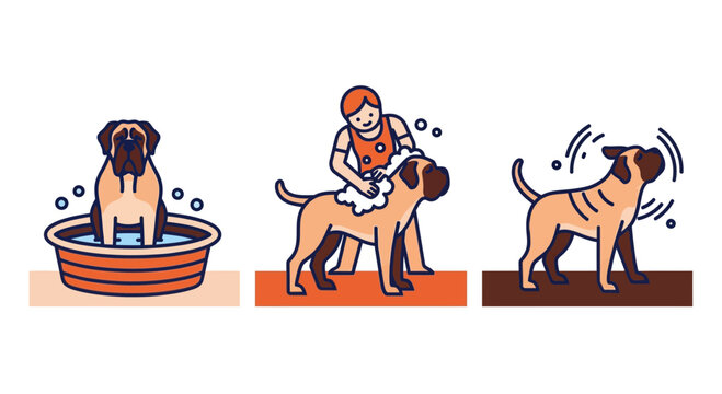 Vector illustration sequence of a large dog being washed