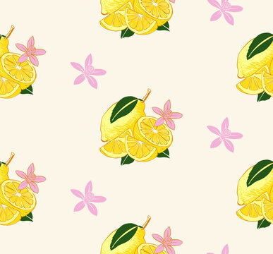 Lemon Orange Print Design. seamless print design. hand drawing limon orange illustration vector graphics. summer t-shirt design. girls print pattern design.  
