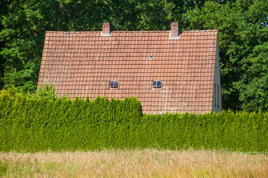 Altes Wohngeb&auml;ude mit Dach und Gartenhecke im Gr&uuml;nen, Bad Zwischenahn, Niedersachsen, Deutschland