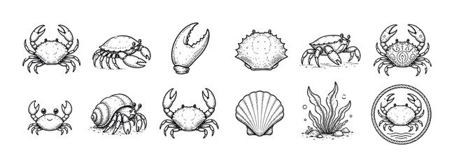 Obraz premium Collection of hand-drawn crab illustrations in a vintage engraving style, featuring various crustaceans, a hermit crab, a seashell, and aquatic plants for a nautical theme