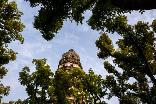 Tiger Hill Pagoda above garden tree canopy under spring blue sky in Suzhou, China
