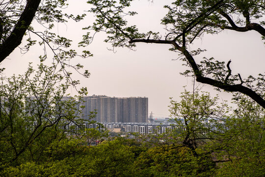 Apartment towers and low buildings behind spring foliage, view from Tiger Hill park, Suzhou, China
