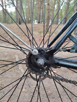 Extreme close up of a bicycle rear sprocket wheel with metal chain