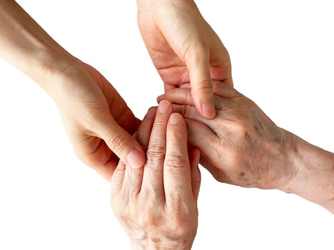 Young hands gently supporting elderly hands on white background